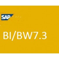 SAP BW 7.3 Training Videos With Access-99$